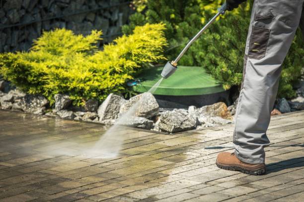 Best Driveway Pressure Washing  in Foster Brook, PA